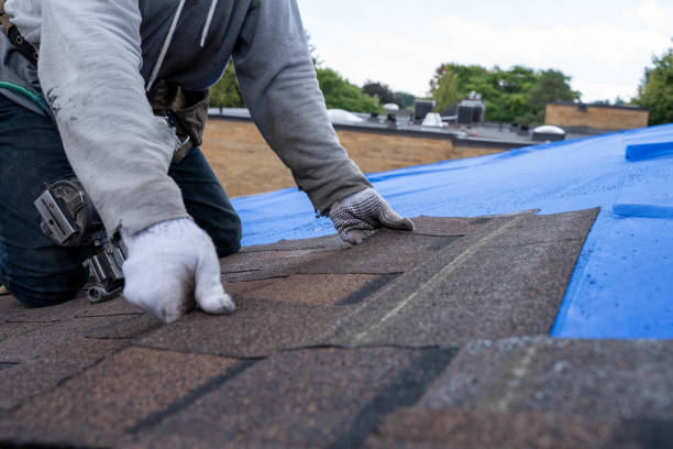Roof Installation Near Me in Fayetteville, AL