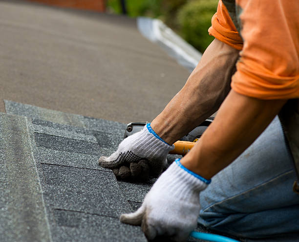 Professional Roofing Contractor in Fayetteville, AL
