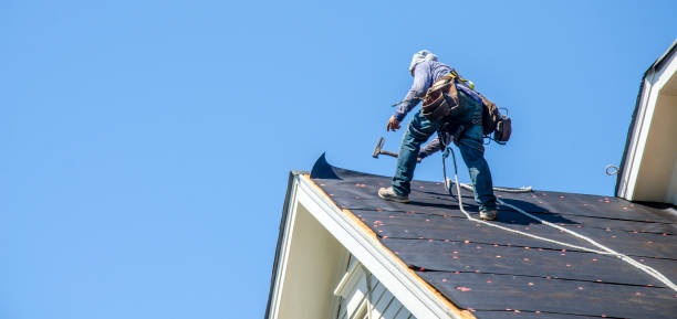 Best Storm Damage Roof Repair  in Fayetteville, AL